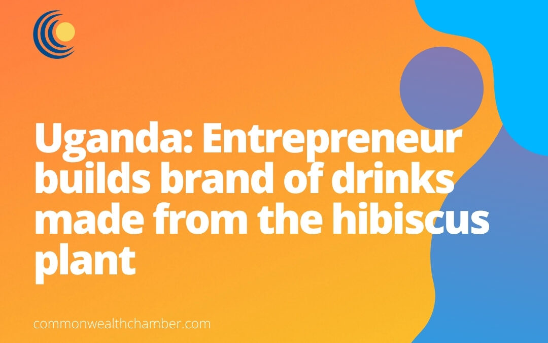 Uganda: Entrepreneur builds brand of drinks made from the hibiscus plant
