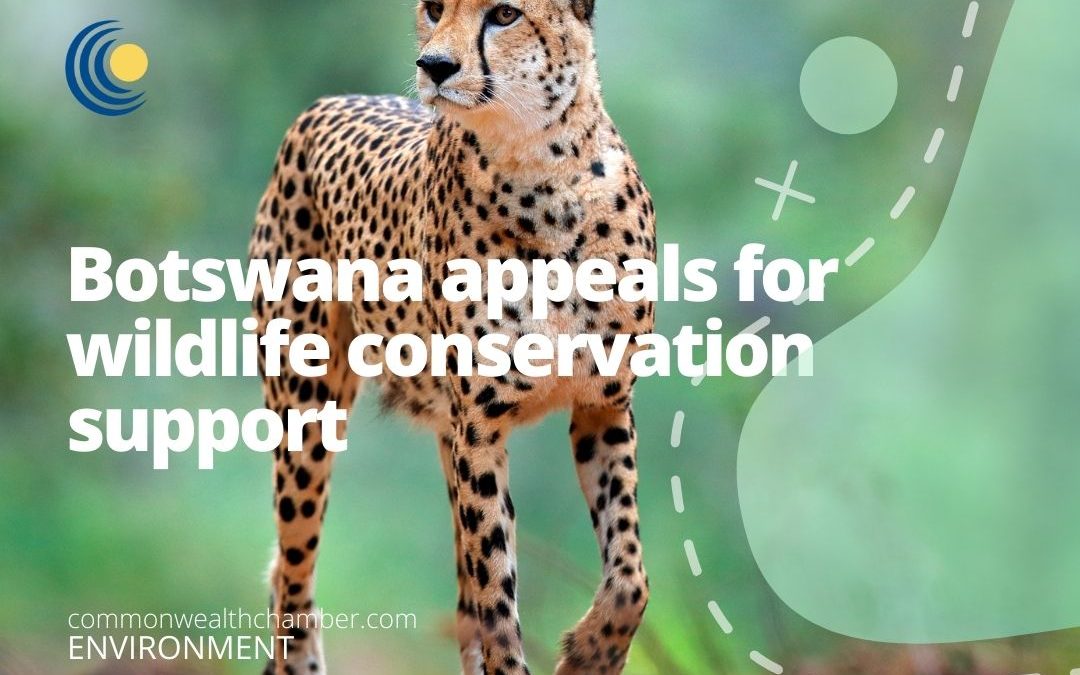 Botswana appeals for wildlife conservation support