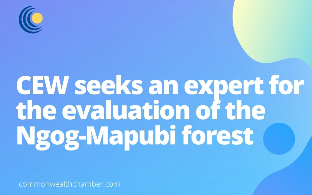 CEW seeks an expert for the evaluation of the Ngog-Mapubi forest