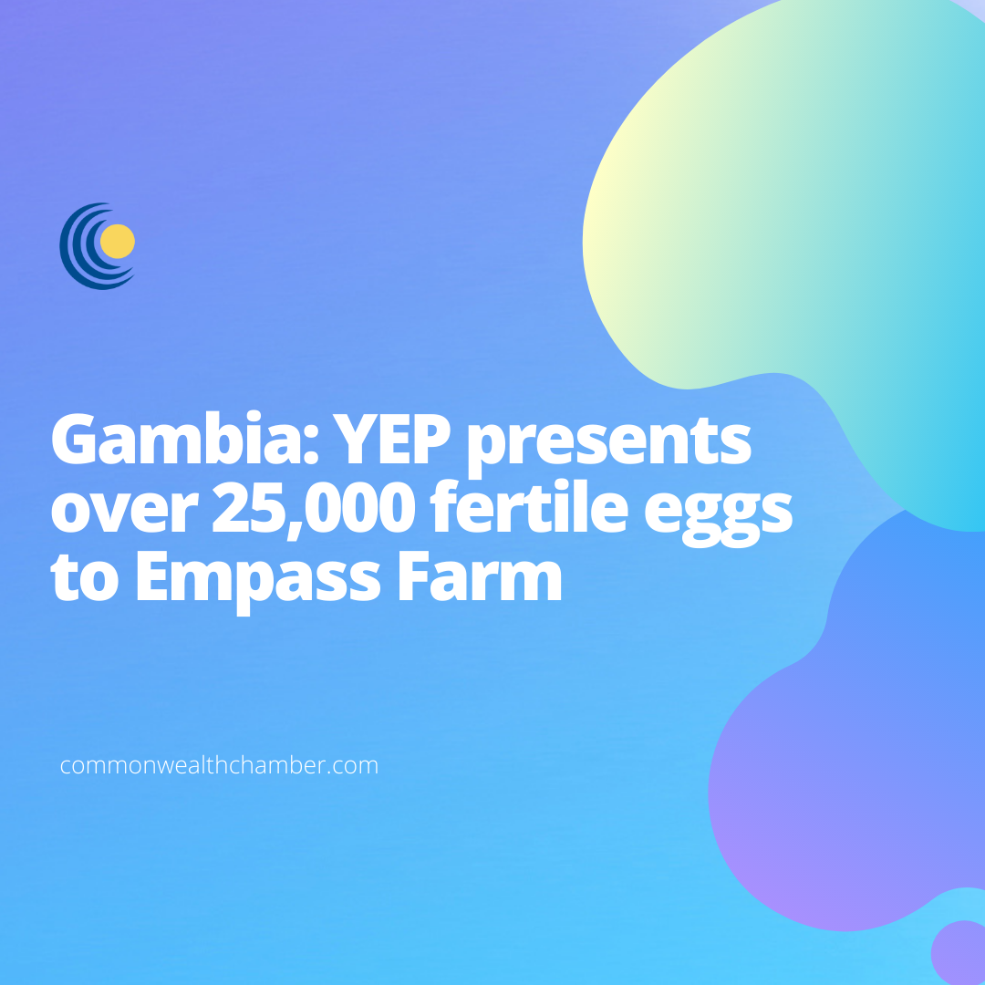 Gambia: YEP presents over 25,000 fertile eggs to Empass Farm