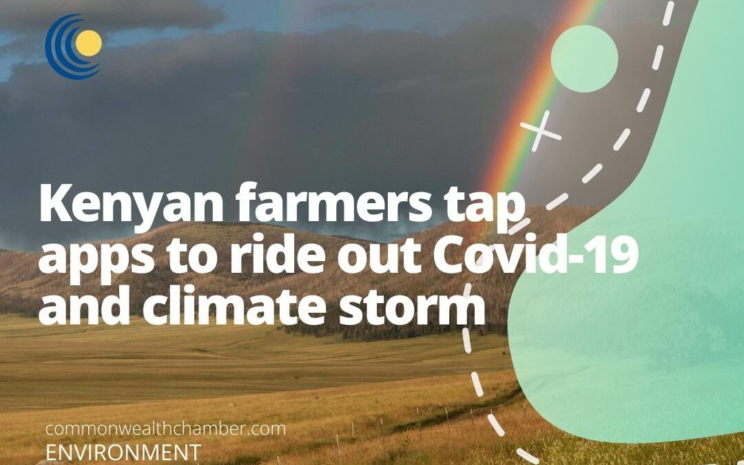 Kenyan farmers tap apps to ride out Covid-19 and climate storm