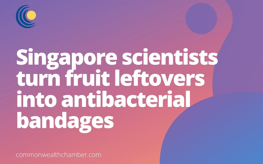 Singapore scientists turn fruit leftovers into antibacterial bandages