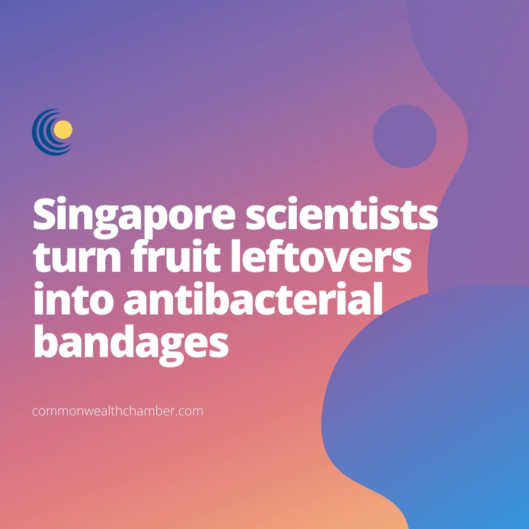 Singapore scientists turn fruit leftovers into antibacterial bandages