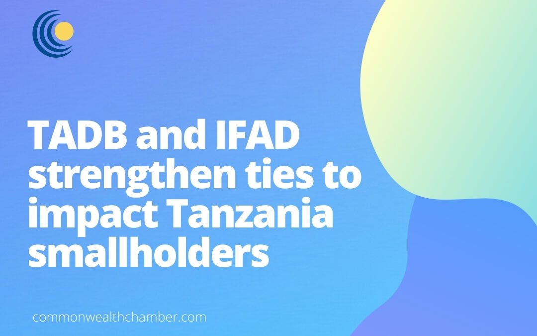 TADB and IFAD strengthen ties to impact Tanzania smallholders