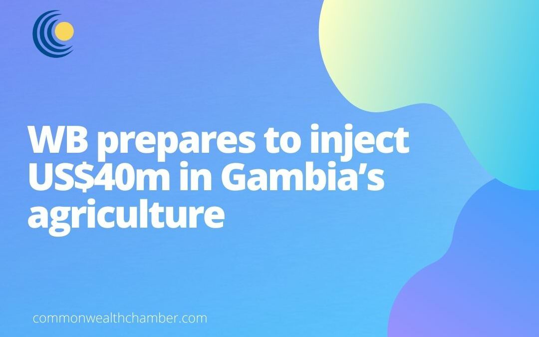 WB prepares to inject US$40m in Gambia’s agriculture