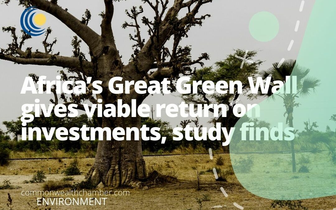 Africa’s Great Green Wall gives viable return on investments, study finds