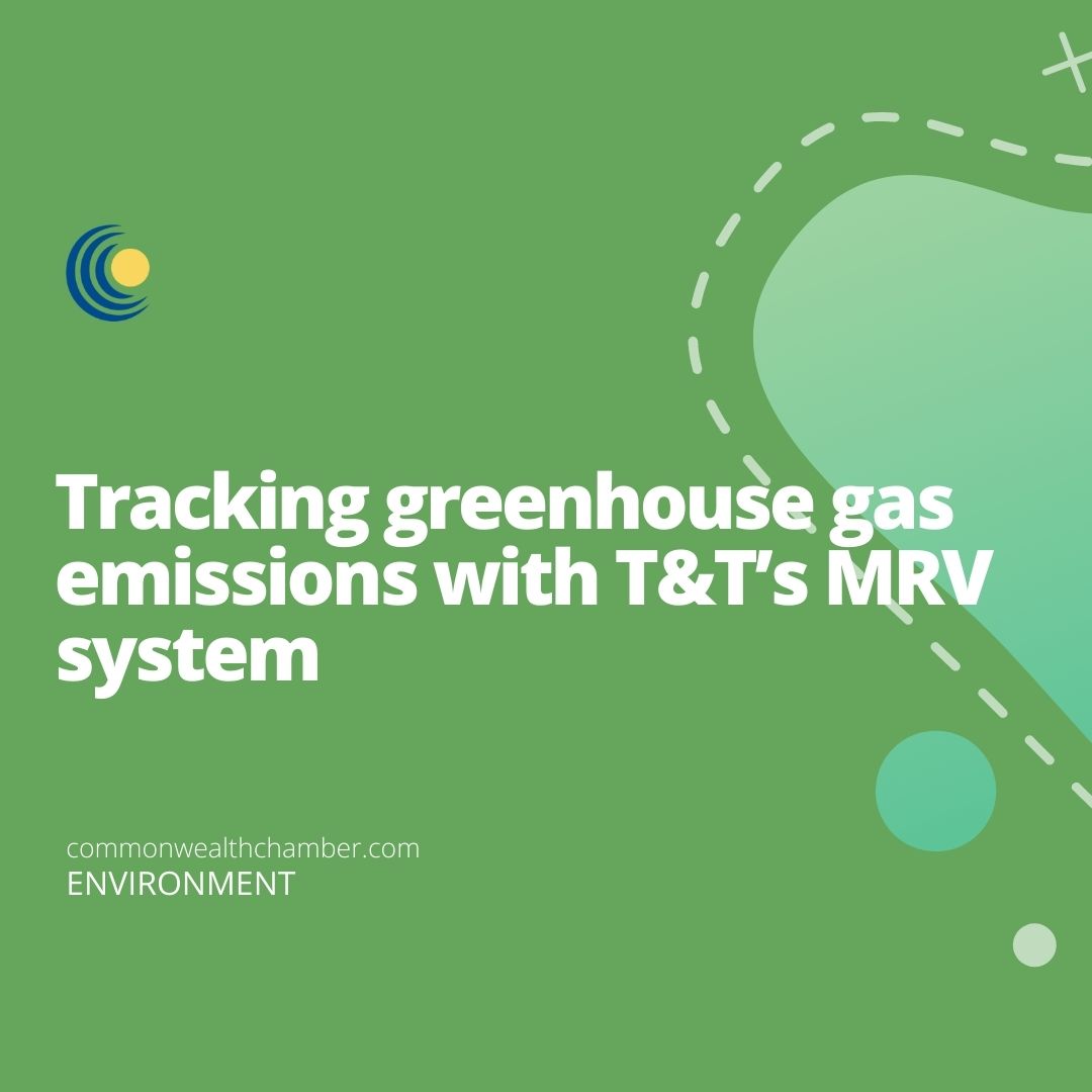 Tracking greenhouse gas emissions with T&T’s MRV system