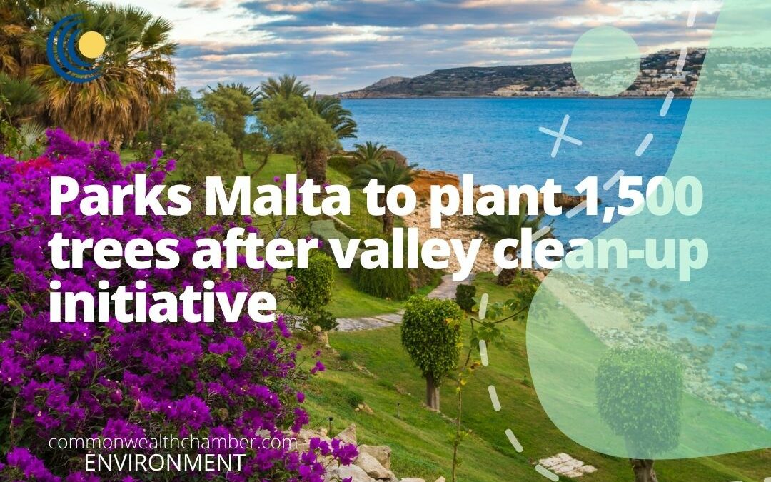 Parks Malta to plant 1,500 trees after valley clean-up initiative