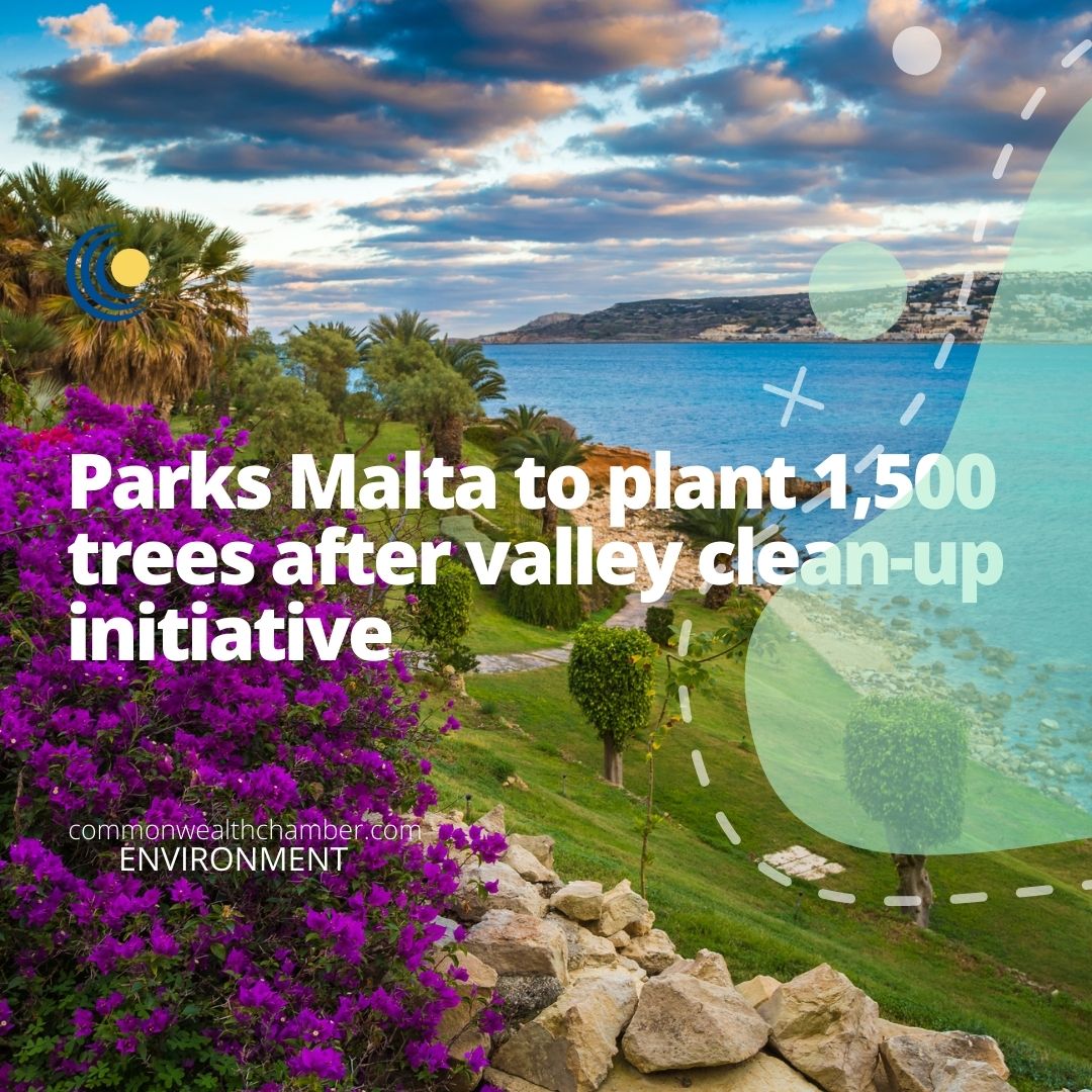 Parks Malta to plant 1,500 trees after valley clean-up initiative