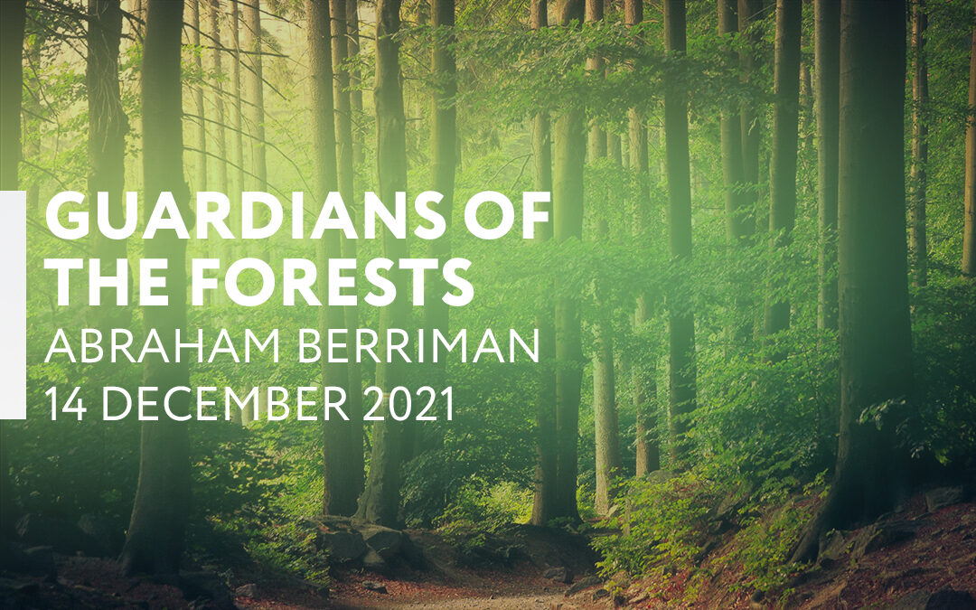 Guardians of the forests