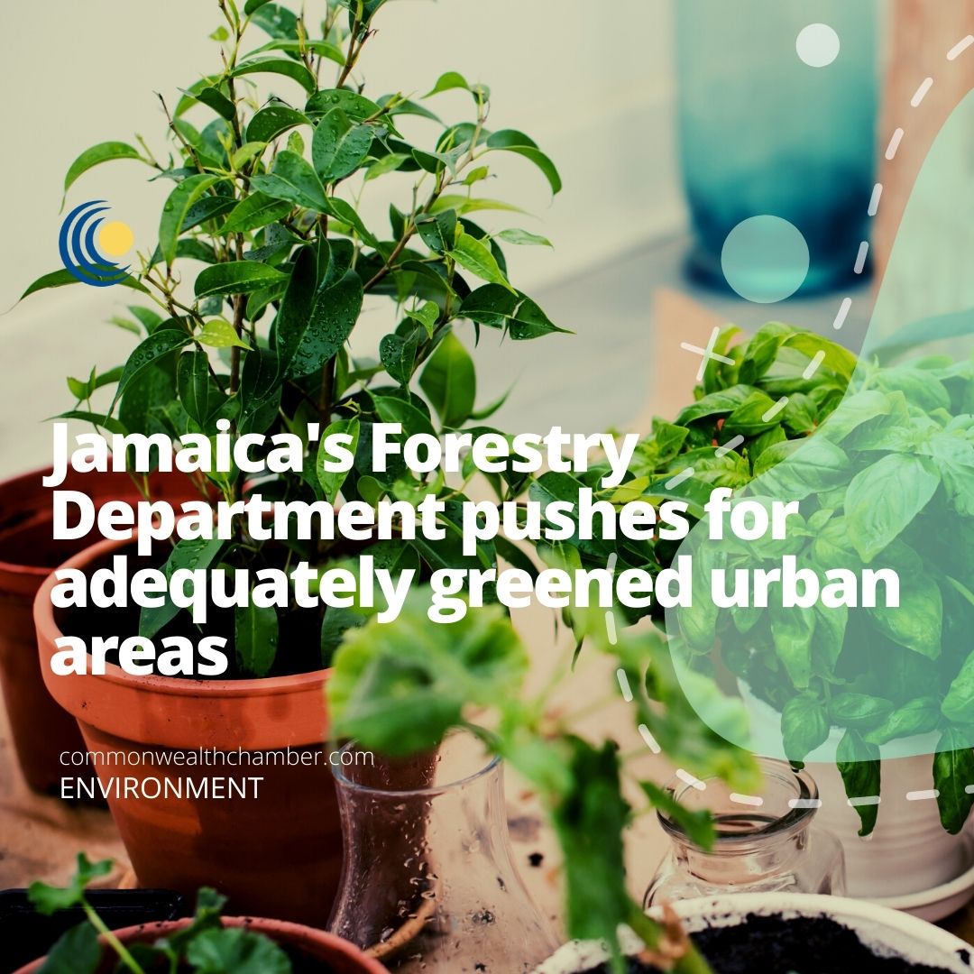 Jamaica’s Forestry Department pushes for adequately greened urban areas