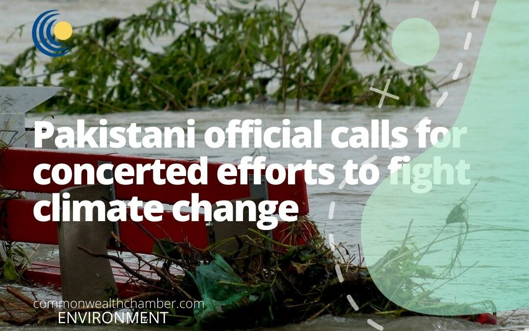 Pakistani official calls for concerted efforts to fight climate change