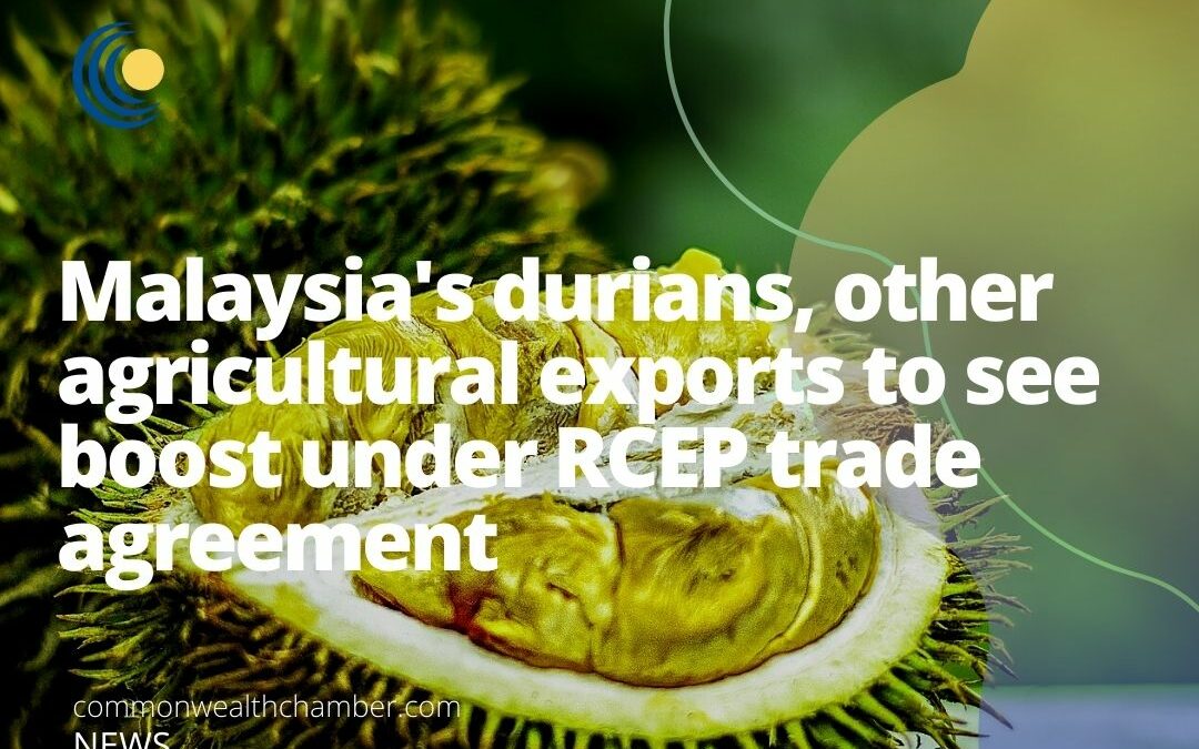 Malaysia’s durians, other agricultural exports to see boost under RCEP trade agreement