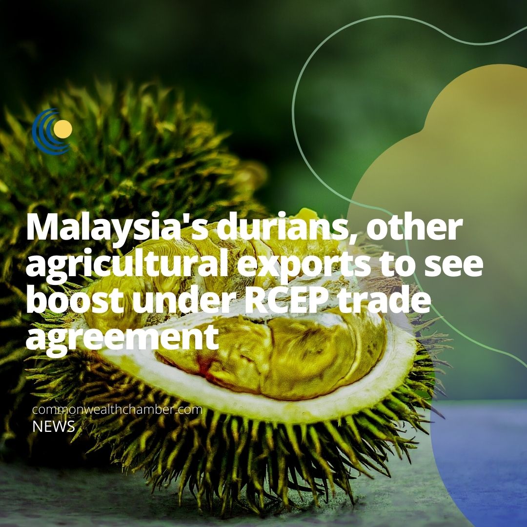 Malaysia’s durians, other agricultural exports to see boost under RCEP trade agreement