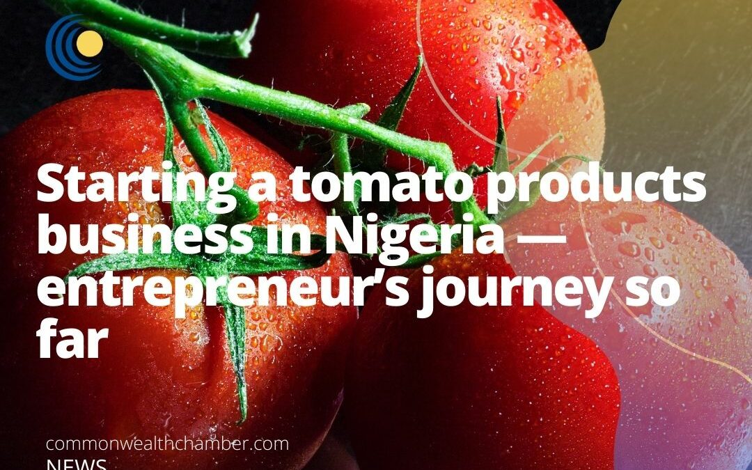 Starting a tomato products business in Nigeria – entrepreneur’s journey so far