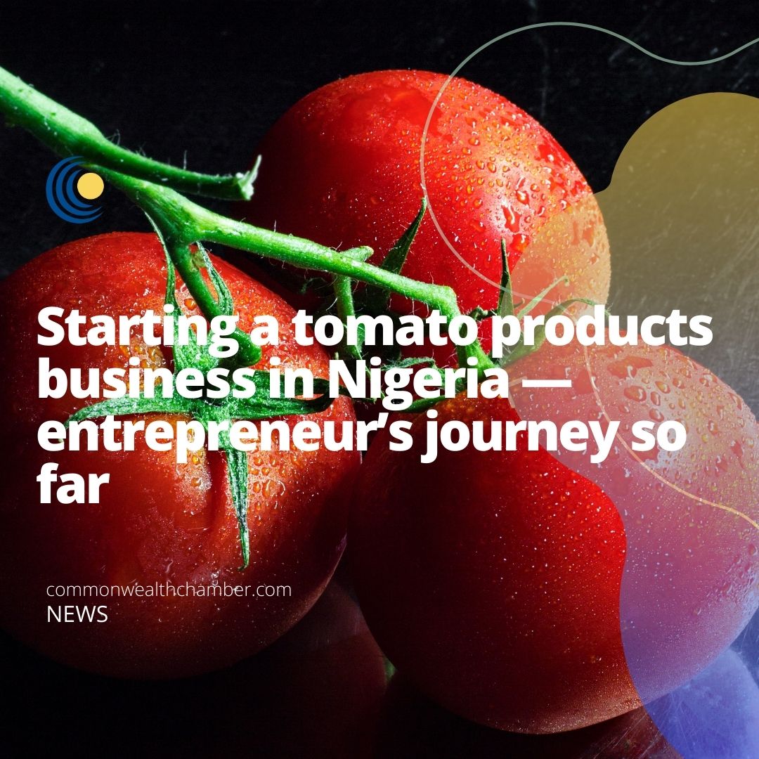 Starting a tomato products business in Nigeria – entrepreneur’s journey so far