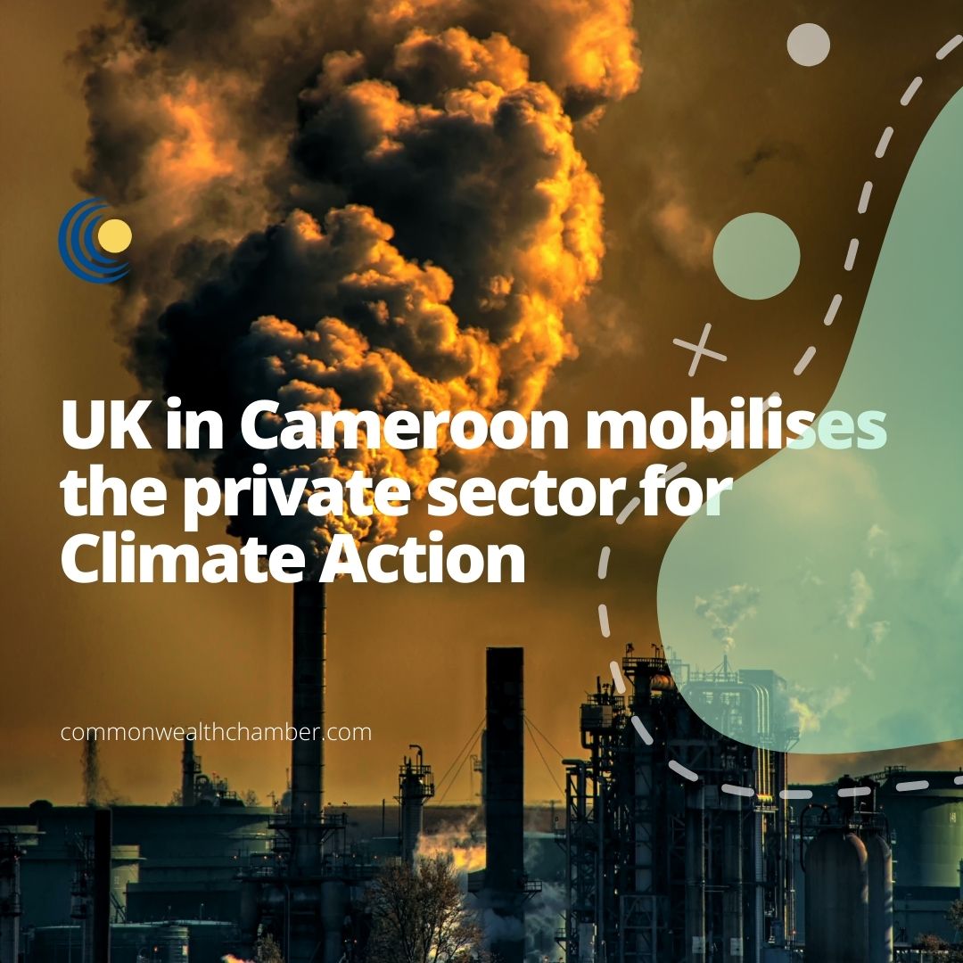 UK in Cameroon mobilises the private sector for Climate Action