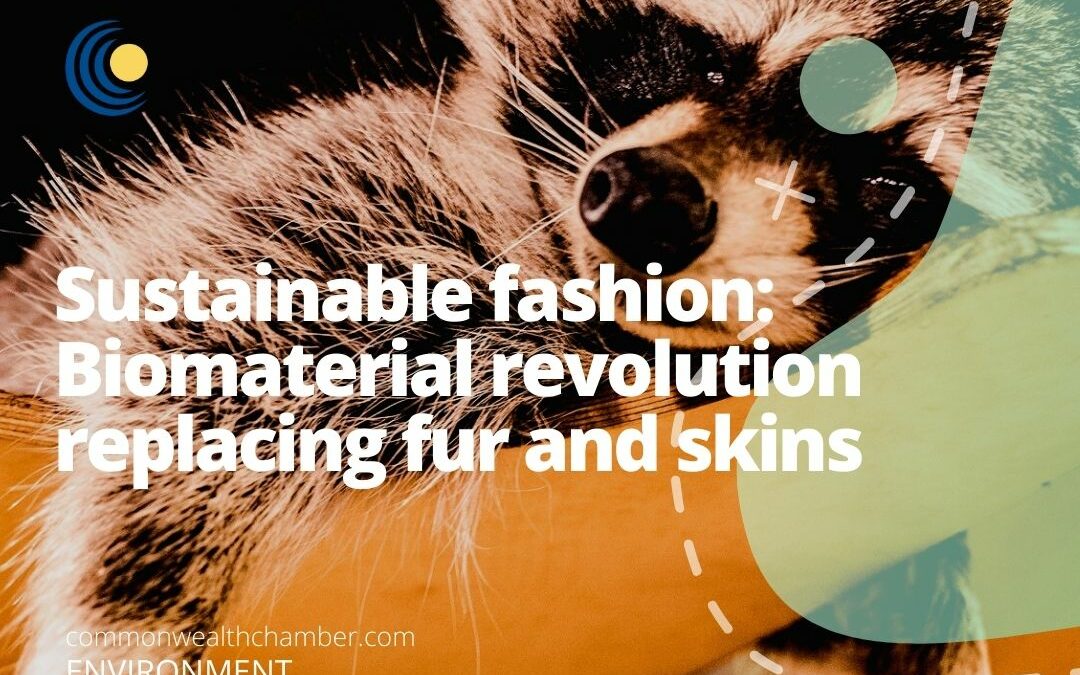 Sustainable fashion Biomaterial revolution replacing fur and skins