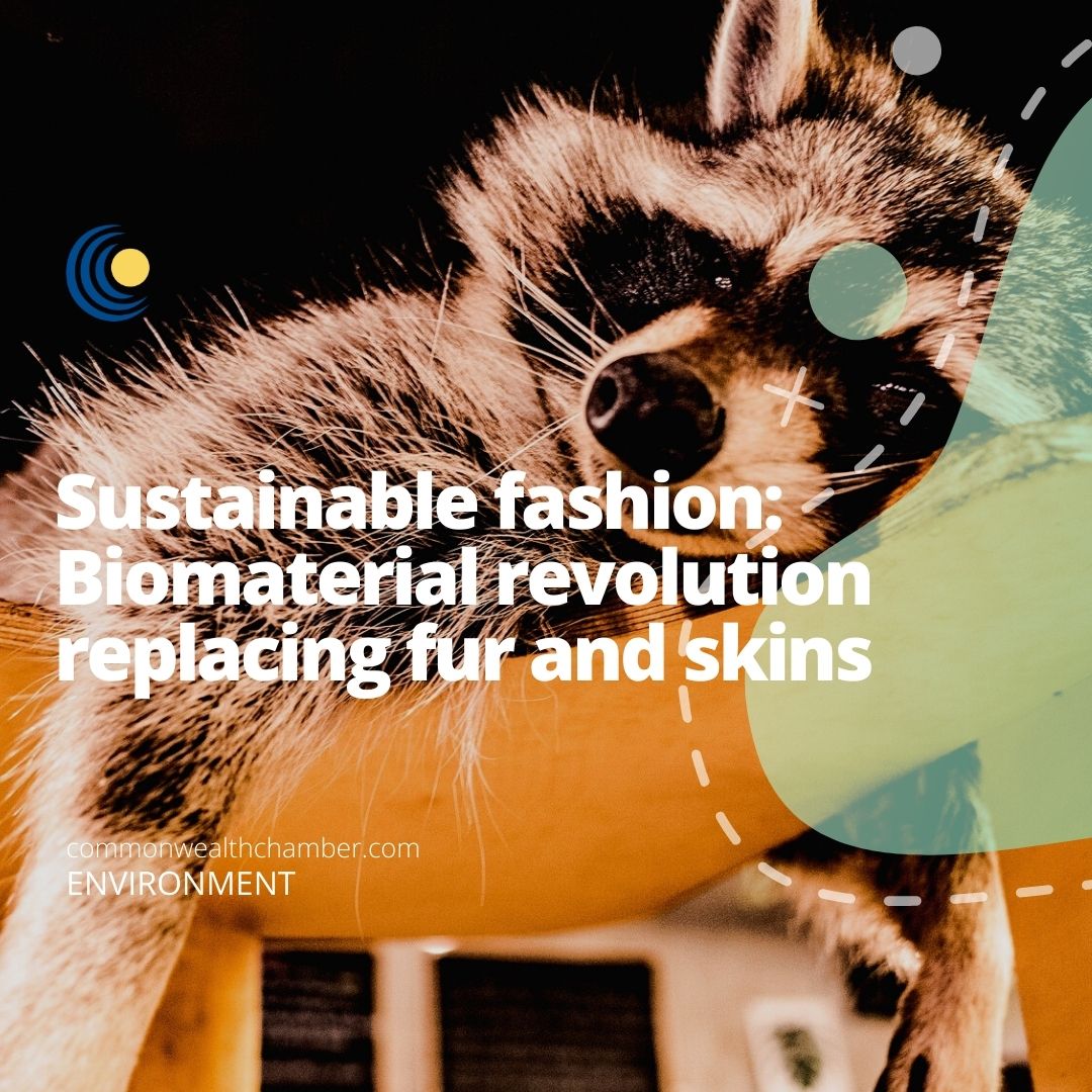 Sustainable fashion Biomaterial revolution replacing fur and skins