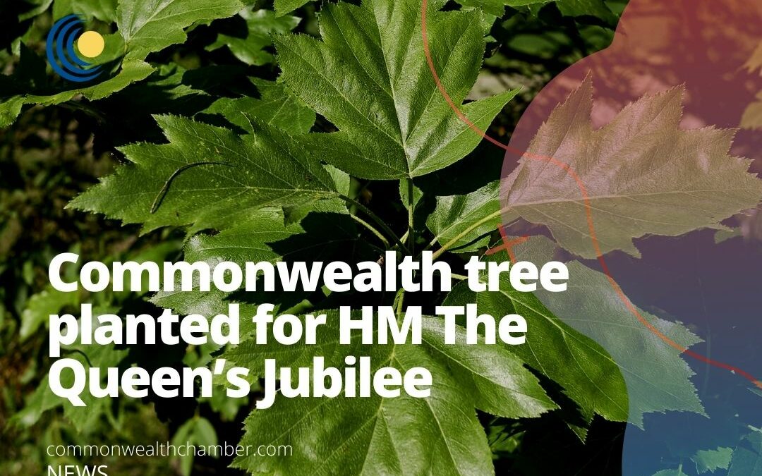 Commonwealth tree planted for HM The Queen’s Jubilee