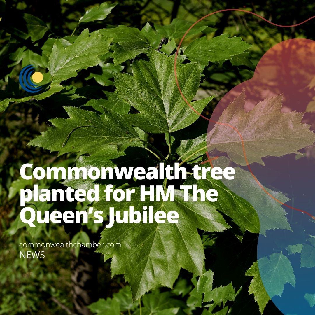 Commonwealth tree planted for HM The Queen’s Jubilee