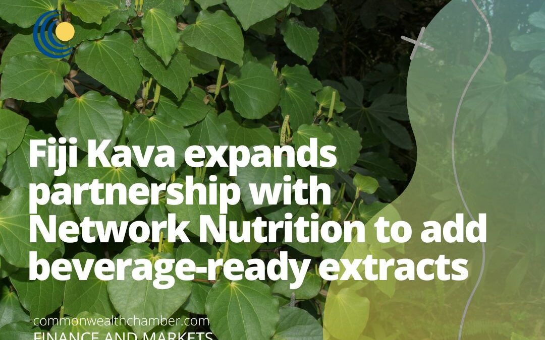 Fiji Kava expands partnership with Network Nutrition to add beverage-ready extracts