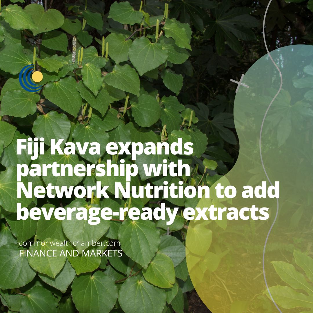 Fiji Kava expands partnership with Network Nutrition to add beverage-ready extracts