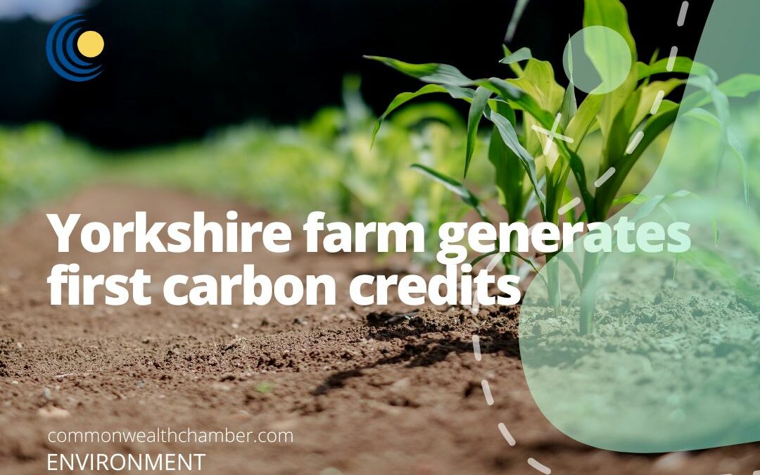 Yorkshire farm generates first carbon credits in pioneering new Net Zero approach from agriculture