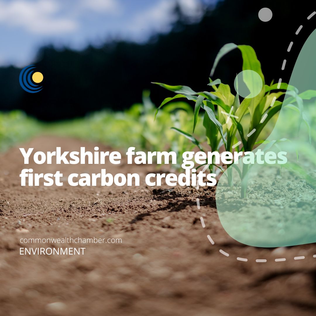 Yorkshire farm generates first carbon credits in pioneering new Net Zero approach from agriculture