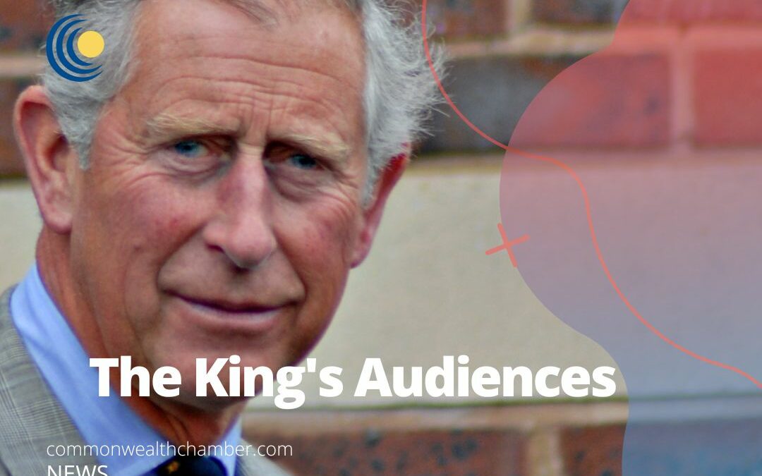 The King’s Audiences