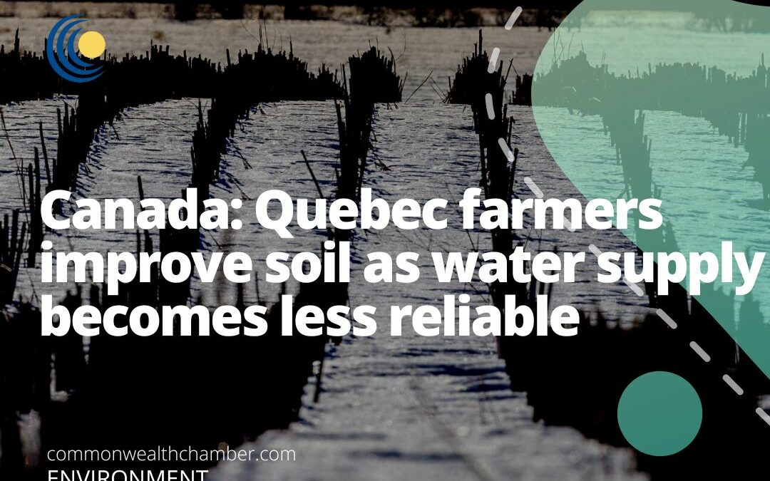 Quebec farmers improve soil as water supply becomes less reliable