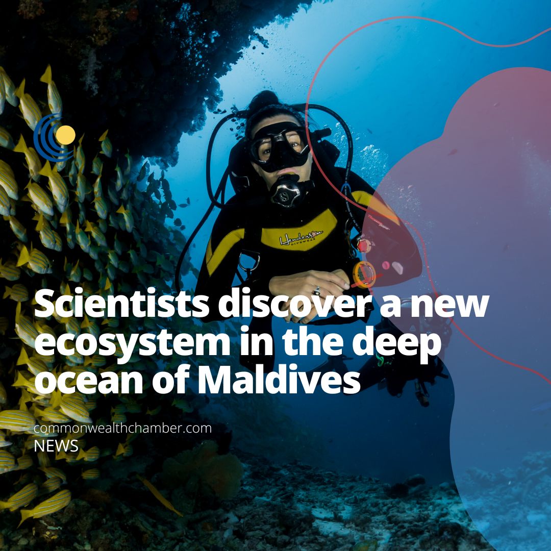 Scientists discover a new ecosystem in the deep ocean of Maldives