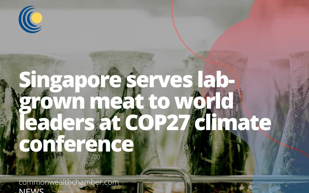 Singapore serves lab-grown meat to world leaders at COP27 climate conference