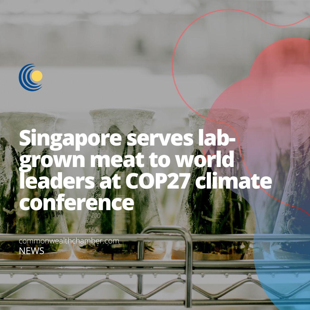 Singapore serves lab-grown meat to world leaders at COP27 climate conference