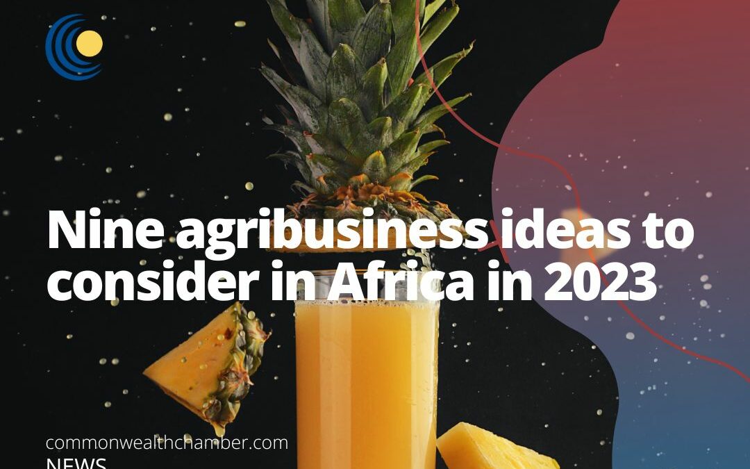 Nine agribusiness ideas to consider in Africa in 2023