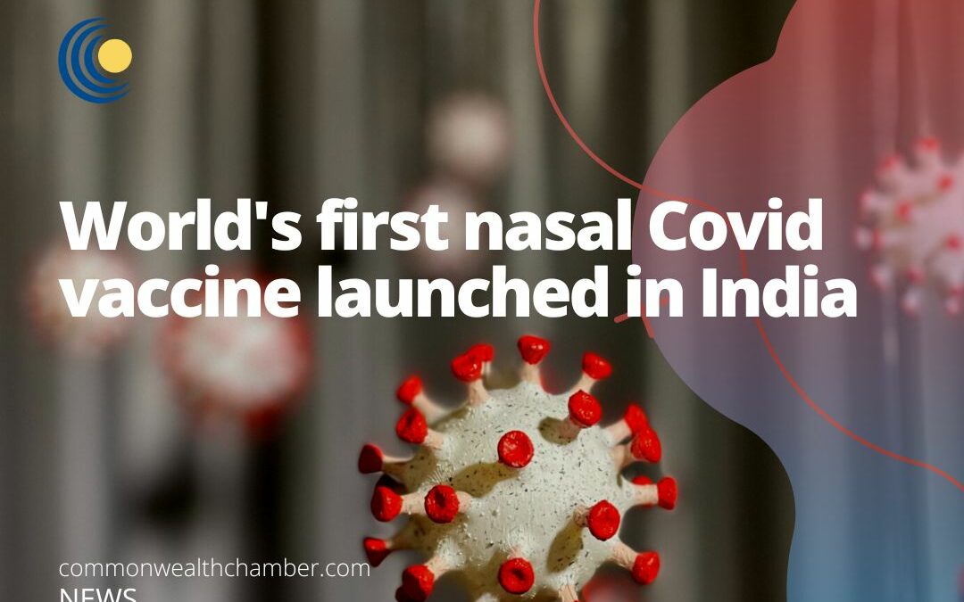 World’s first nasal Covid vaccine launched in India