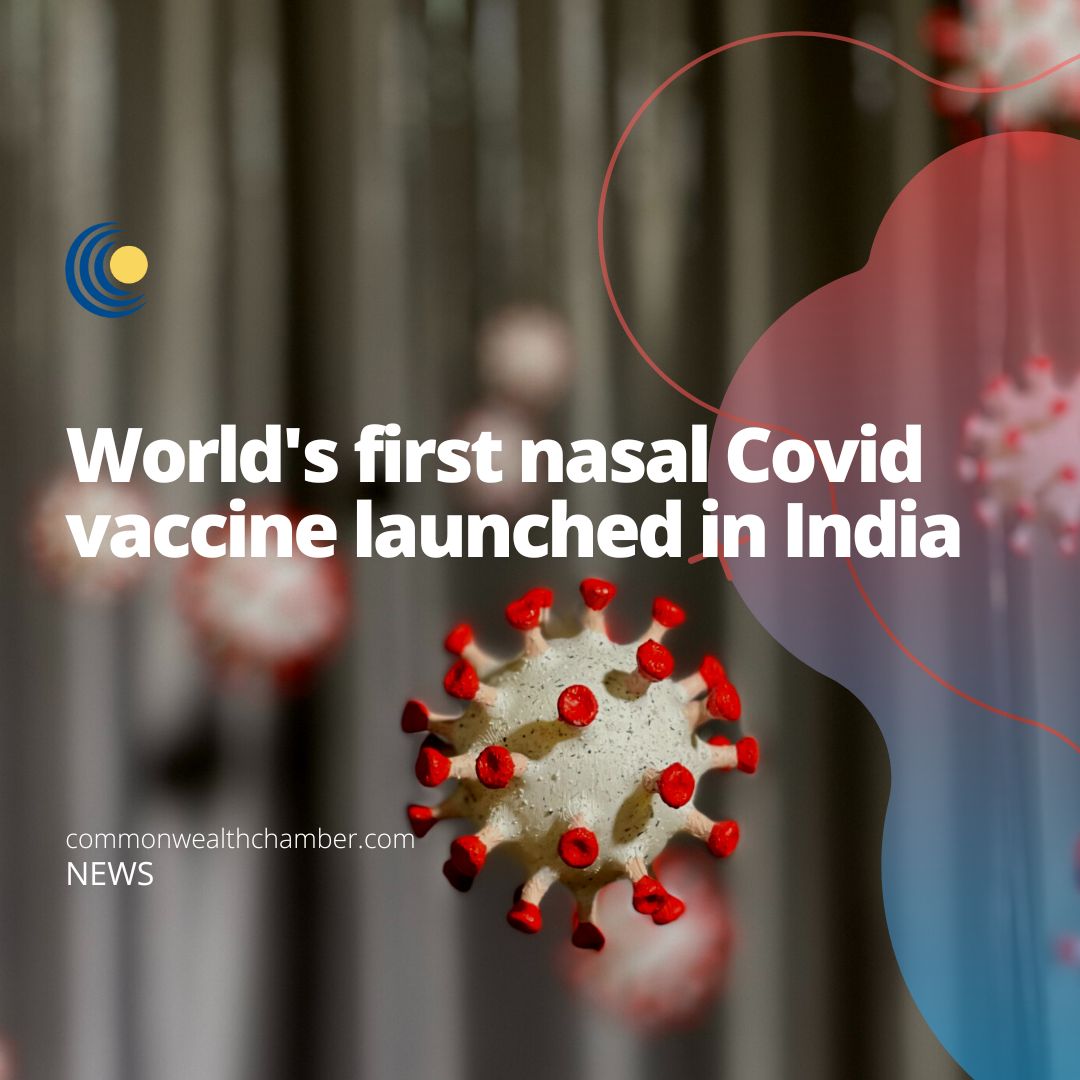 World’s first nasal Covid vaccine launched in India