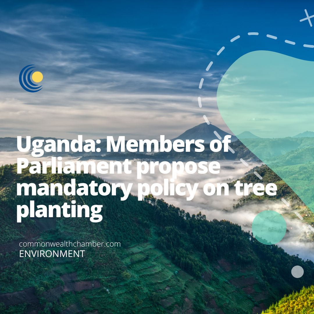 Uganda: Members of Parliament propose mandatory policy on tree planting