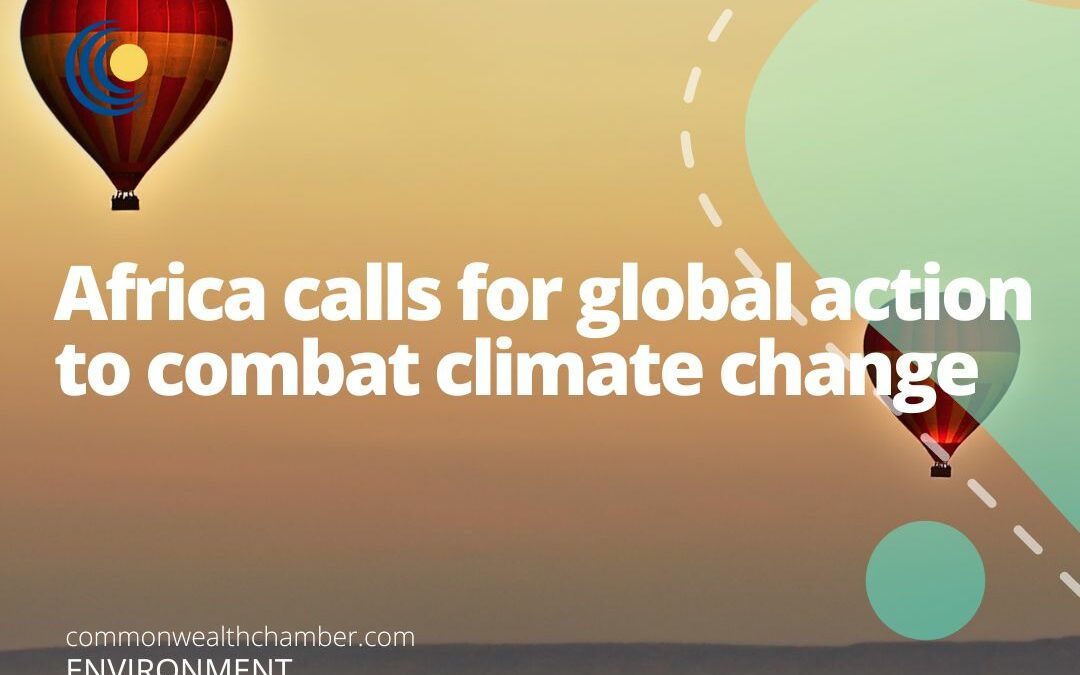 Africa calls for global action to combat climate change