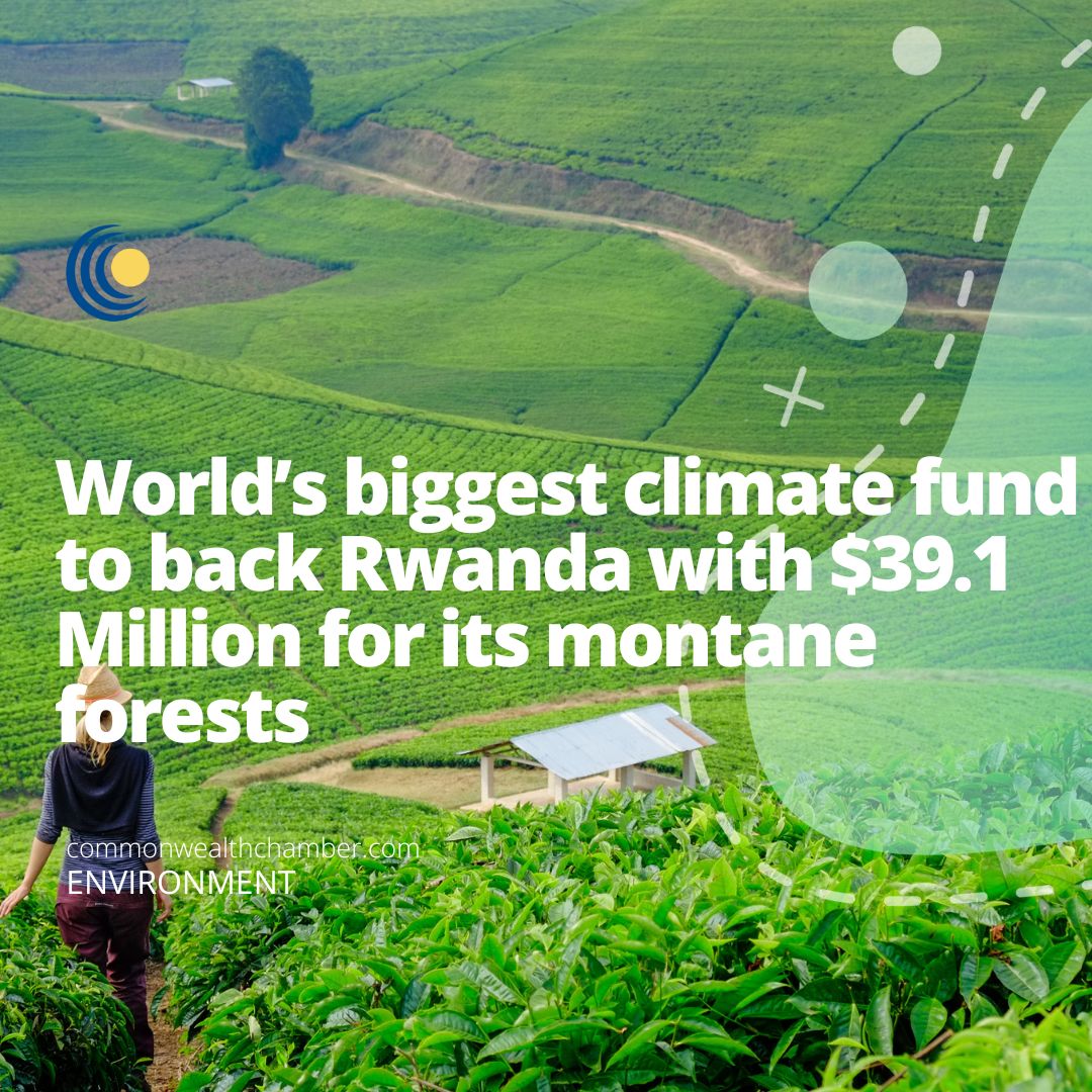 World’s biggest climate fund to back Rwanda with $39.1 Million for its montane forests