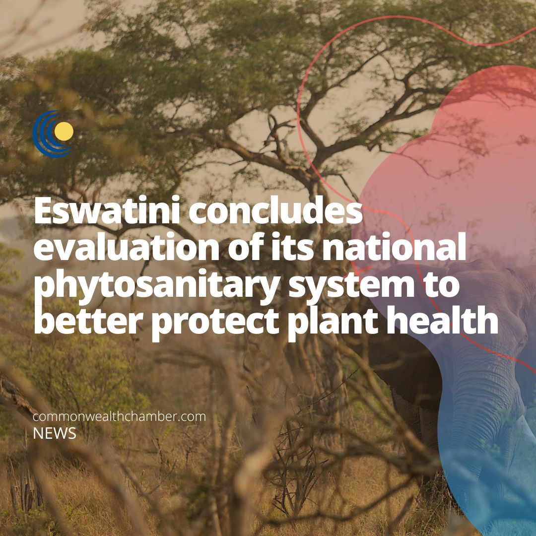 Eswatini concludes evaluation of its national phytosanitary system to better protect plant health