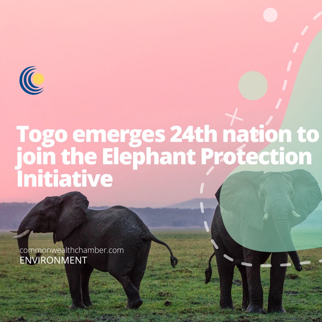 Togo emerges 24th nation to join the Elephant Protection Initiative