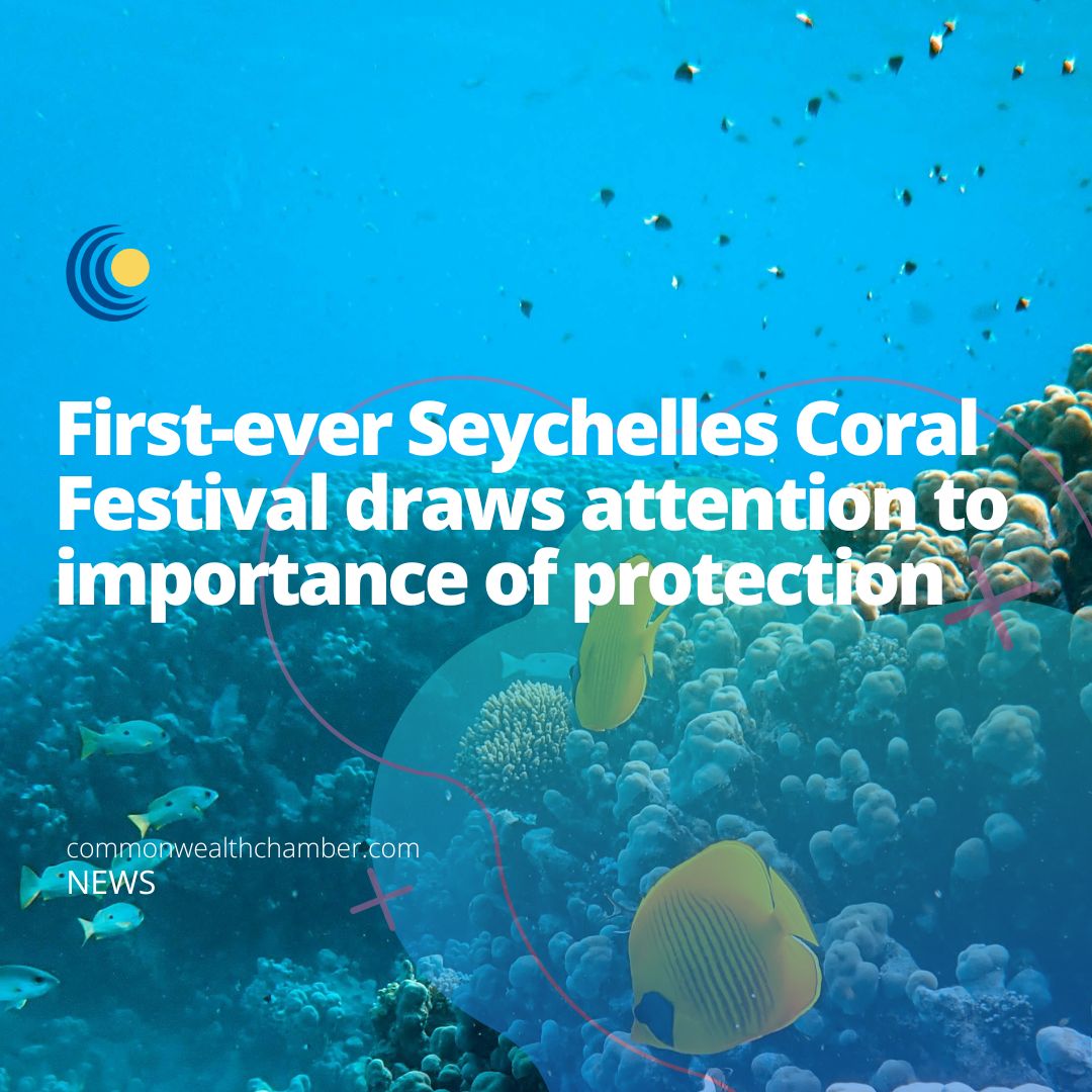 First-ever Seychelles Coral Festival draws attention to importance of protection
