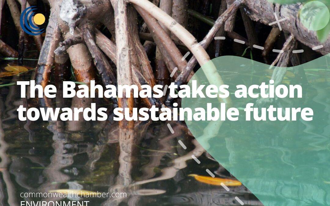 The Bahamas takes action towards sustainable future