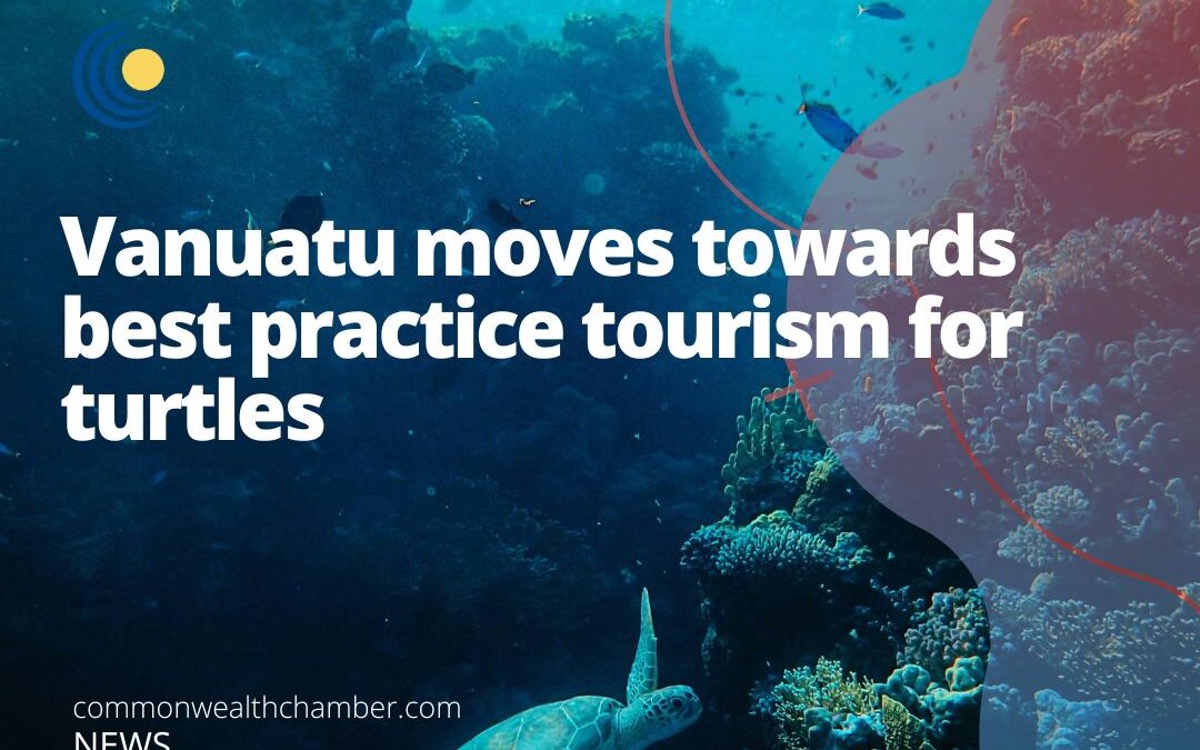 Vanuatu moves towards best practice tourism for turtles