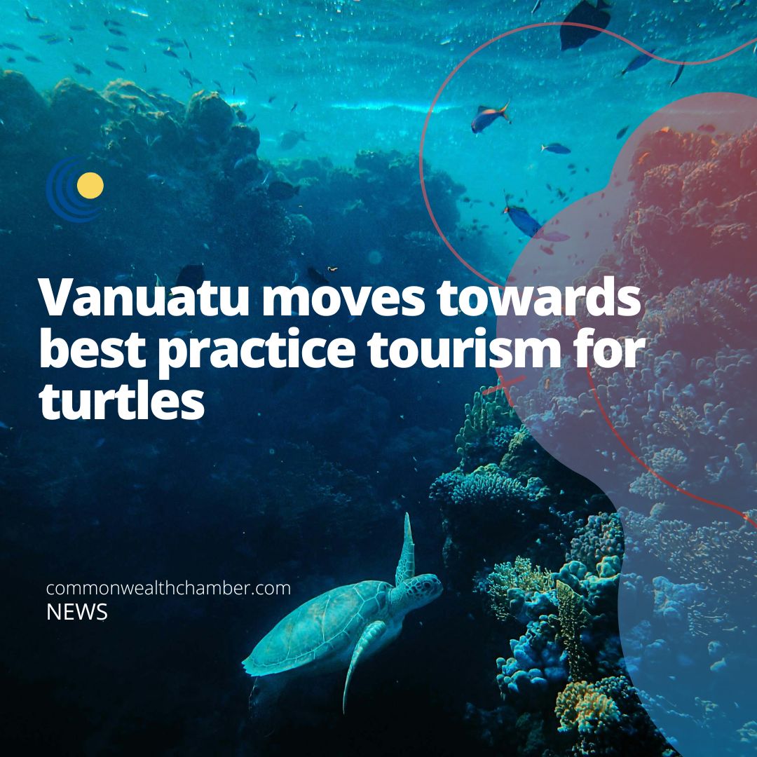Vanuatu moves towards best practice tourism for turtles