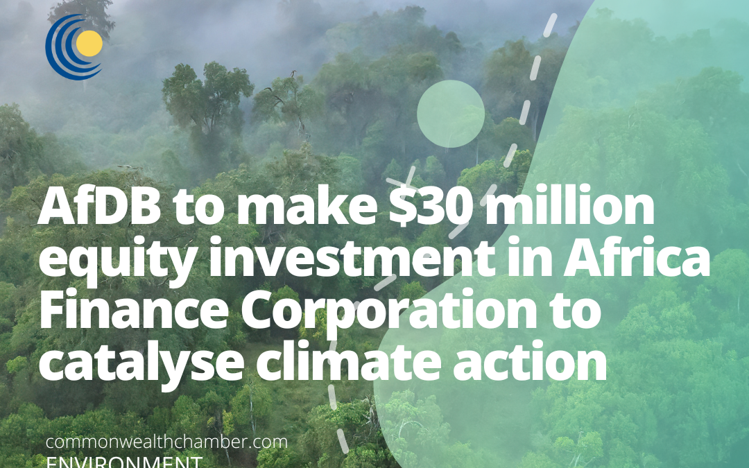 AfDB to make $30 million equity investment in Africa Finance Corporation to catalyse climate action