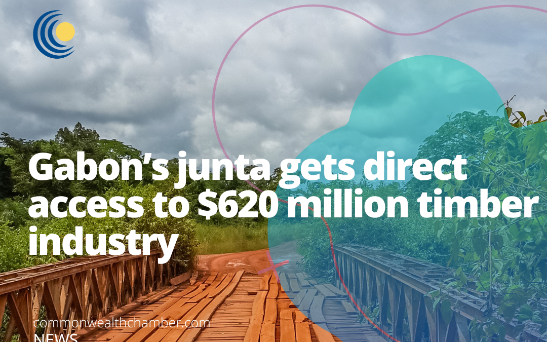 Gabon’s junta gets direct access to $620 million timber industry