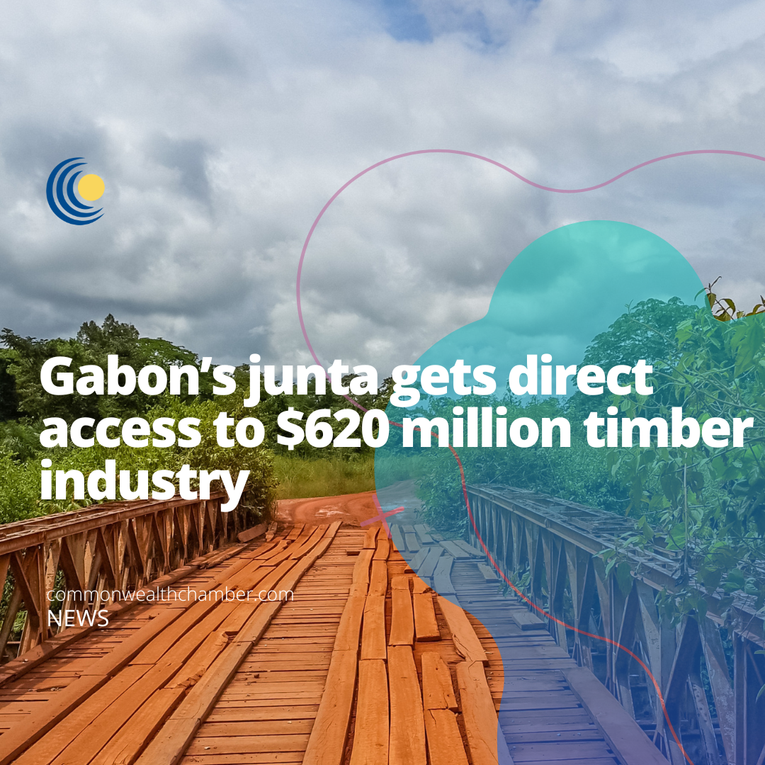 Gabon’s junta gets direct access to $620 million timber industry