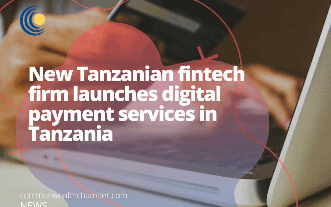 New Tanzanian fintech firm launches digital payment services in Tanzania